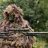 Sniper22
